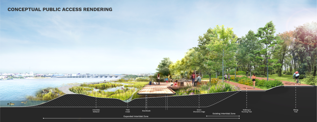 Conceptual public access rendering shows potential community use and connection to the waterfront through board walks, walking trails, and cycle paths along the natural shoreline.